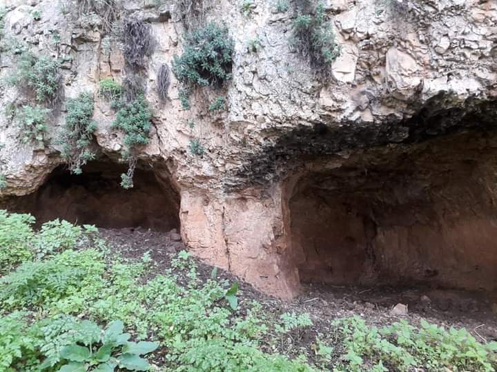 קובץ:מפלטאביתר2).jpg