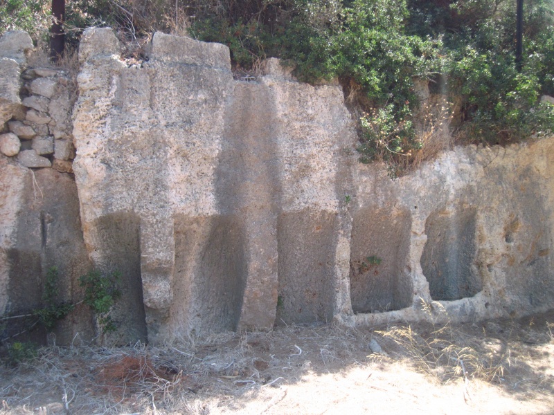 קובץ:אבוסימשמרעתלית.JPG