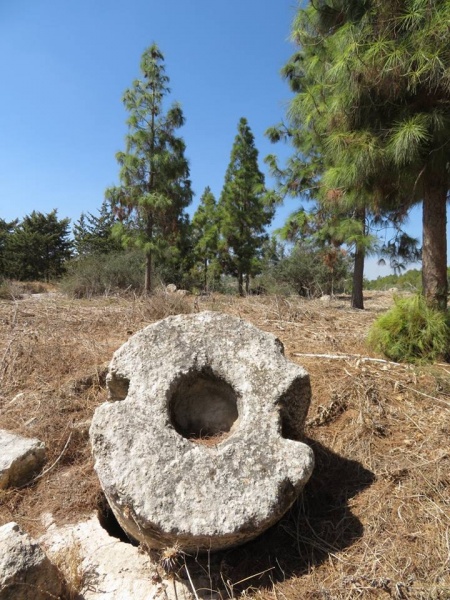 קובץ:אבןביתבדדיראיוב.jpg