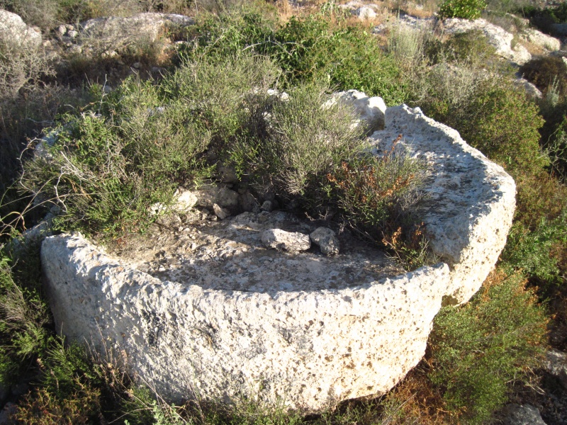 קובץ:אבןיםלעסה.JPG