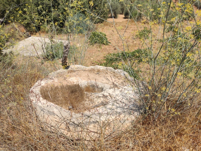 קובץ:אבןים.jpg