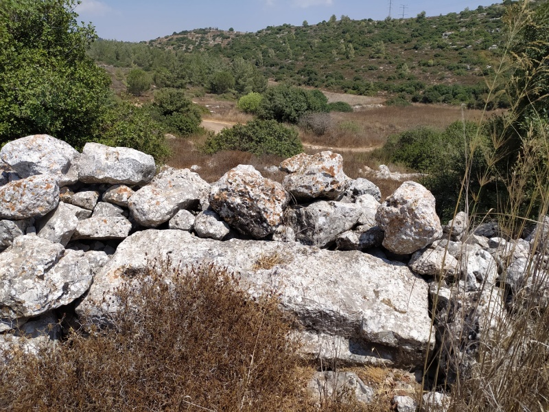 קובץ:אבןמפתןחומה.jpg