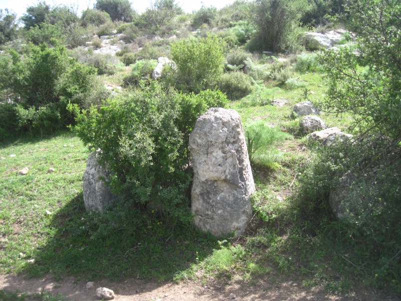 קובץ:אבנימילאמציה.JPG