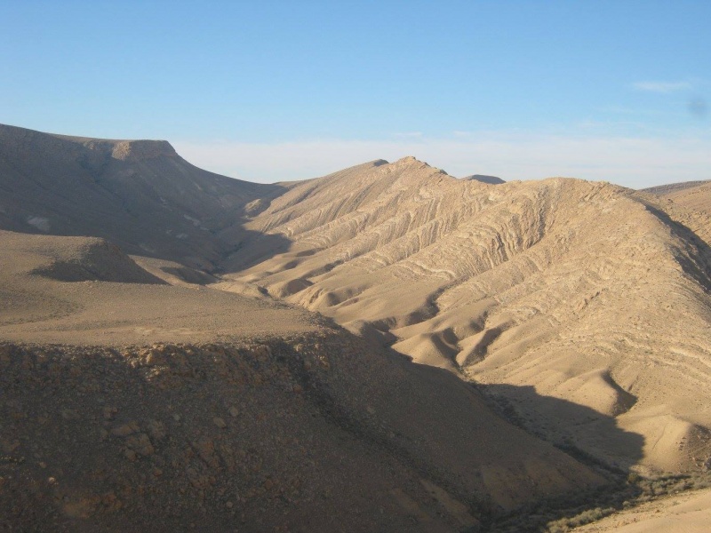 קובץ:אוכףעודדמערב.jpg