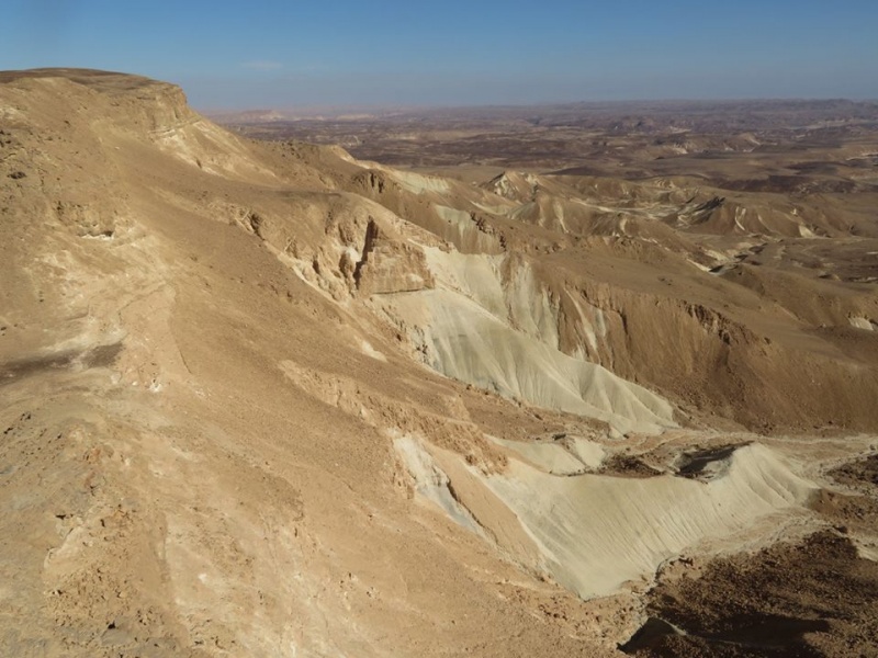 קובץ:אוכףשלוחתכרכום.jpg