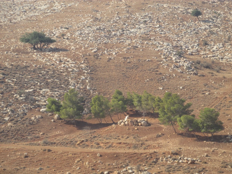 קובץ:אנדרטת2טייחים.JPG