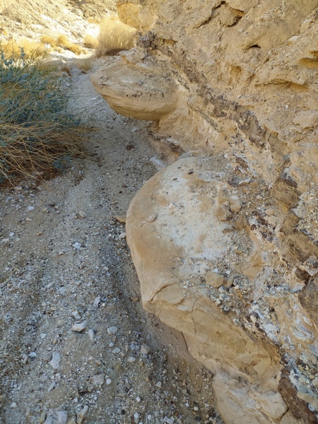 קובץ:בובלסגדתמזר.jpg