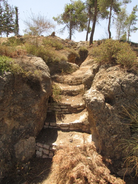 קובץ:בונקרתורכיחממה.JPG