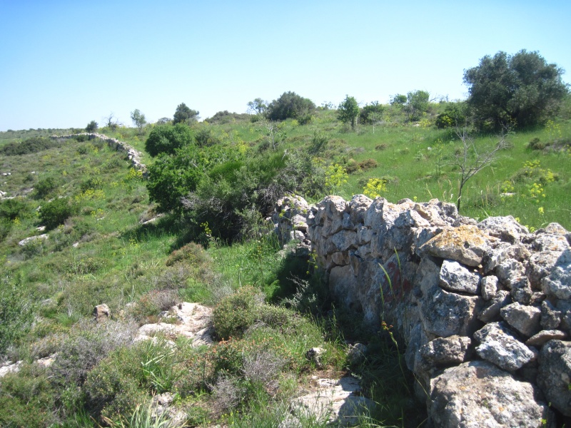 קובץ:בוסתןלכיש14.JPG