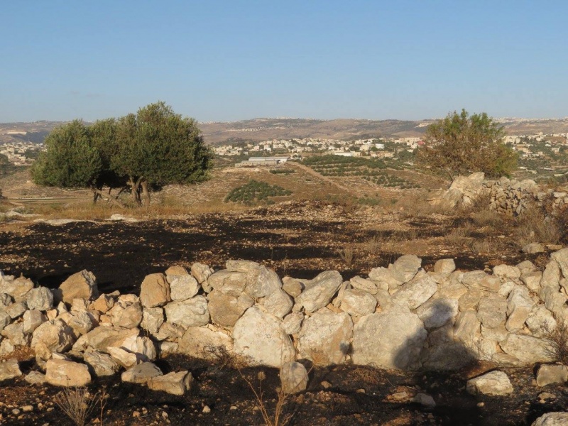 קובץ:בוסתןנטושגדרהפרדה.jpg