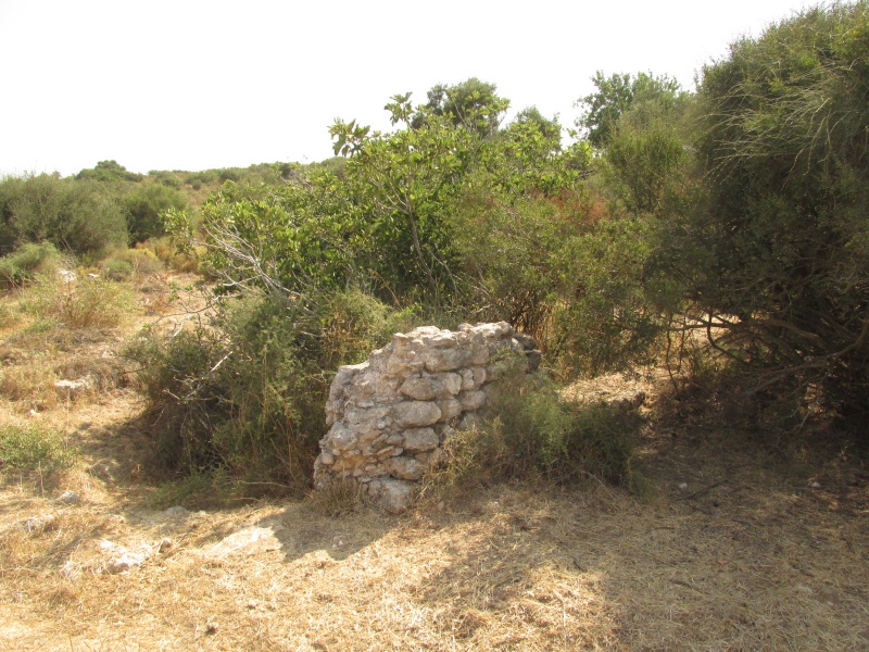 קובץ:בורובריכהרעמה.JPG