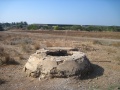 תמונה ממוזערת לגרסה מתאריך 13:15, 20 בנובמבר 2013