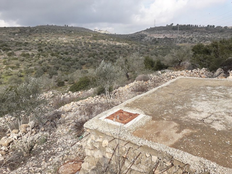 קובץ:בורמיםגינסאפוט.jpg