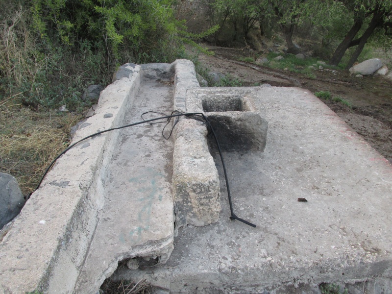 קובץ:בורמיםחדה.JPG