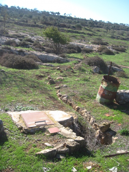 קובץ:בורמיםסקלידרום.JPG