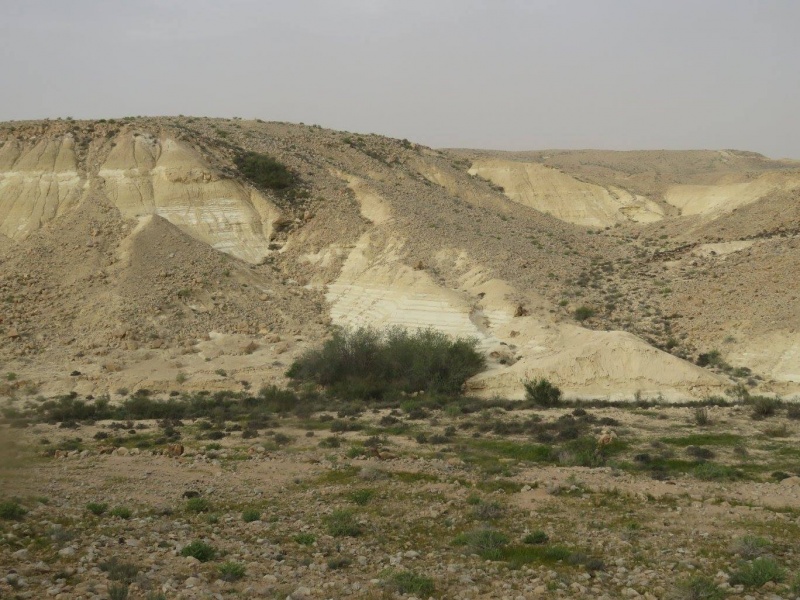 קובץ:בורמיםעזוזמערב.jpg