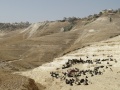 תמונה ממוזערת לגרסה מתאריך 16:46, 25 ביולי 2018