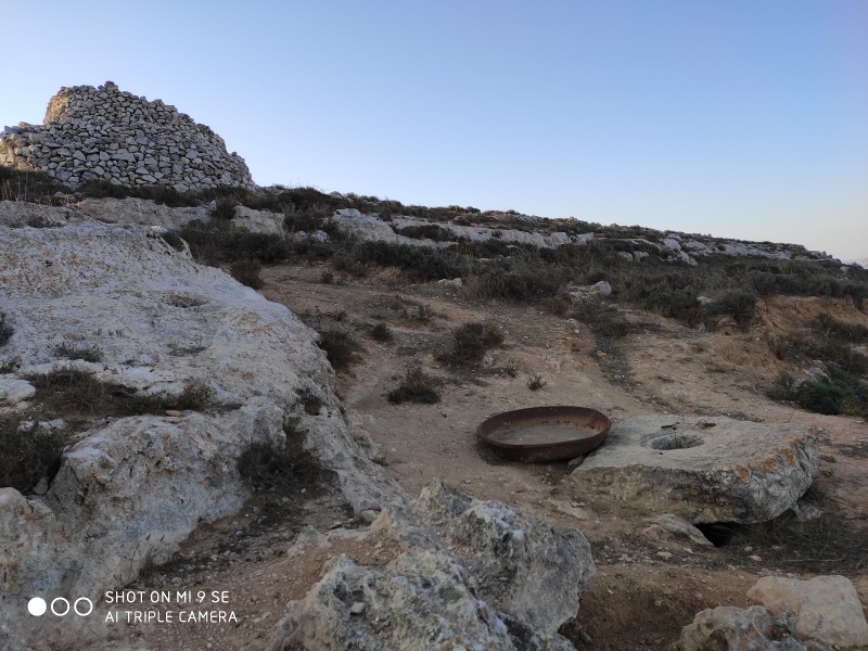 קובץ:בור ושומרה.jpg