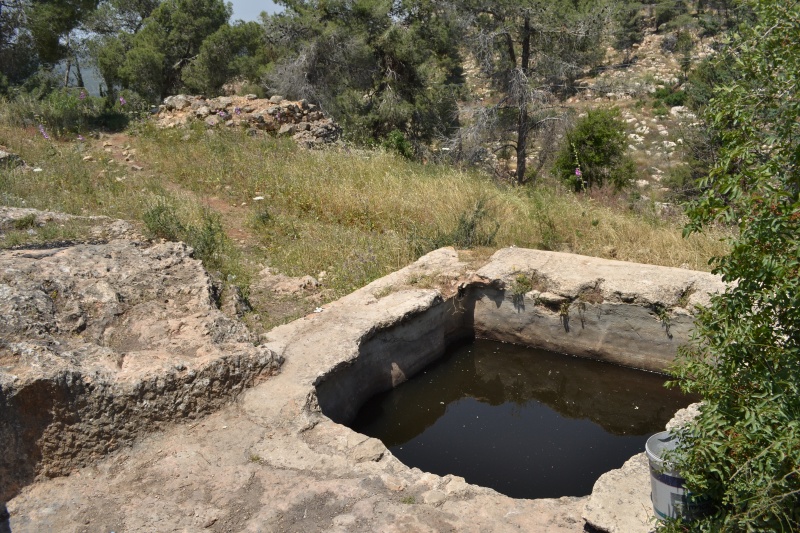 קובץ:בור שן הפיל (3).JPG