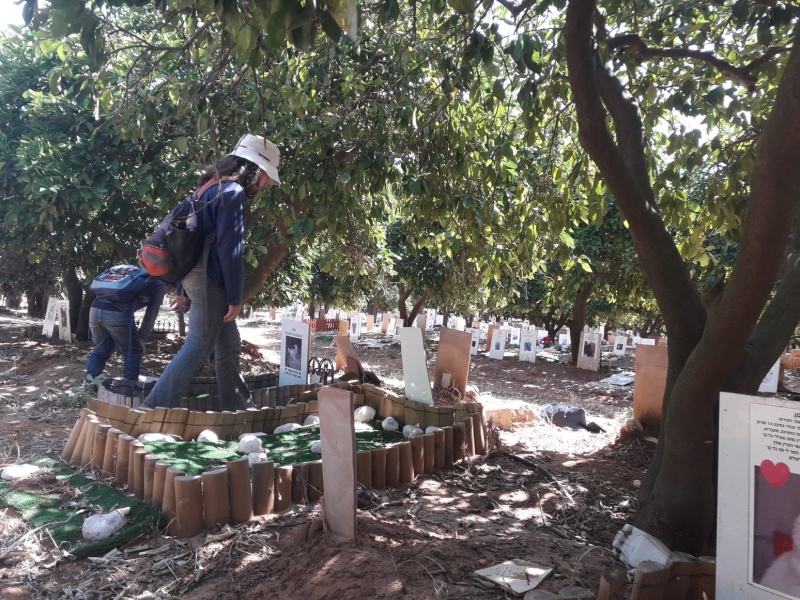 קובץ:ביקחיותפורת.jpg