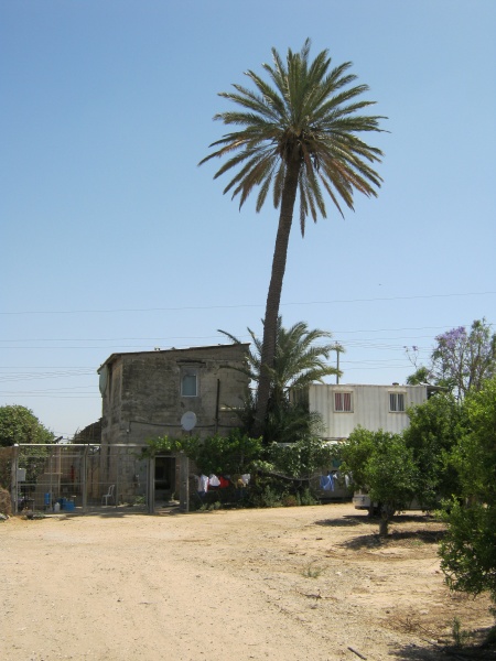 קובץ:ביתבארפסים.JPG