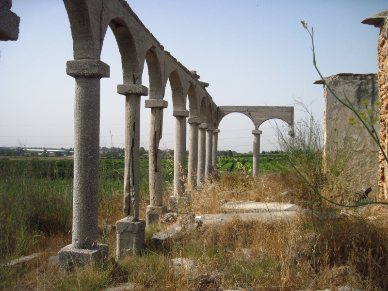 קובץ:ביתקשתותבניה.JPG