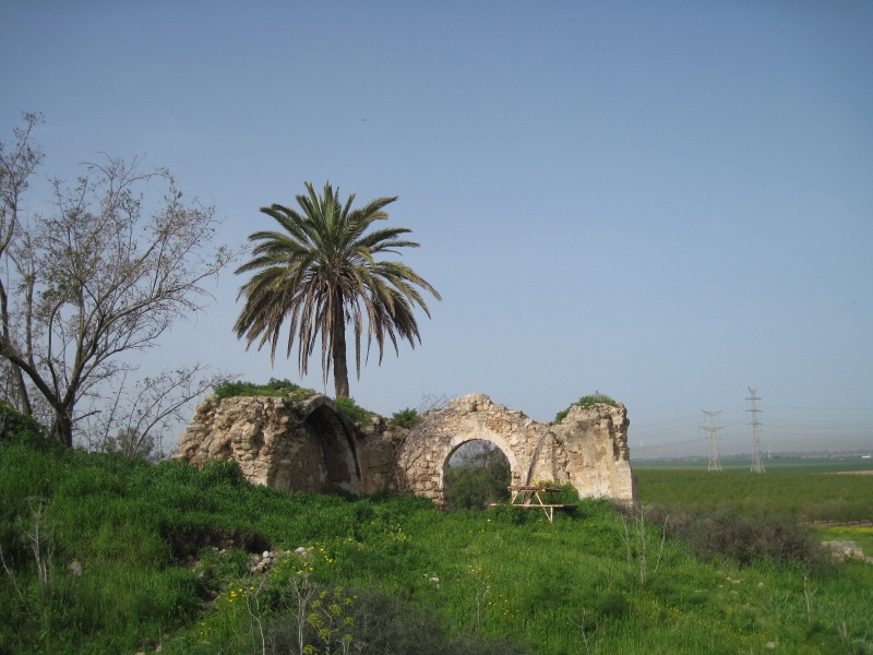 קובץ:ביתתימה.JPG