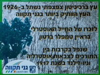 בראיין טמפלר-00277.jpg