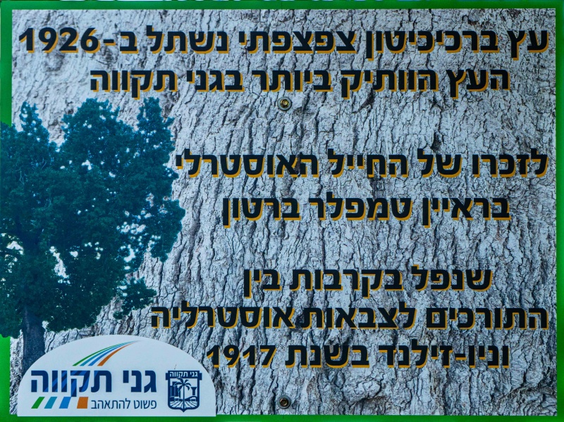 קובץ:בראיין טמפלר-00277.jpg