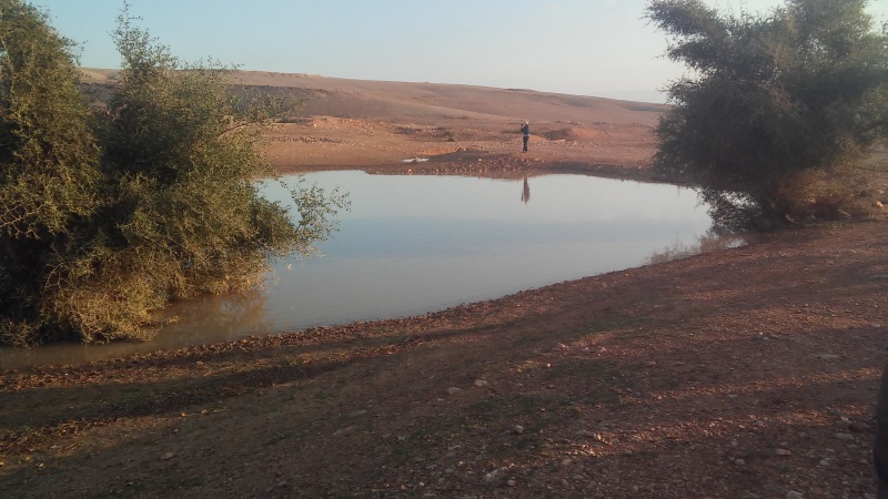 קובץ:בריכה עונתית קטנה.jpg