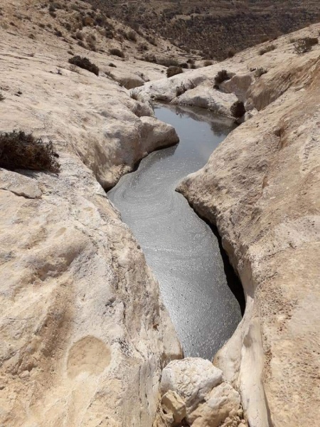 קובץ:גבימיםנחלעלם.jpg