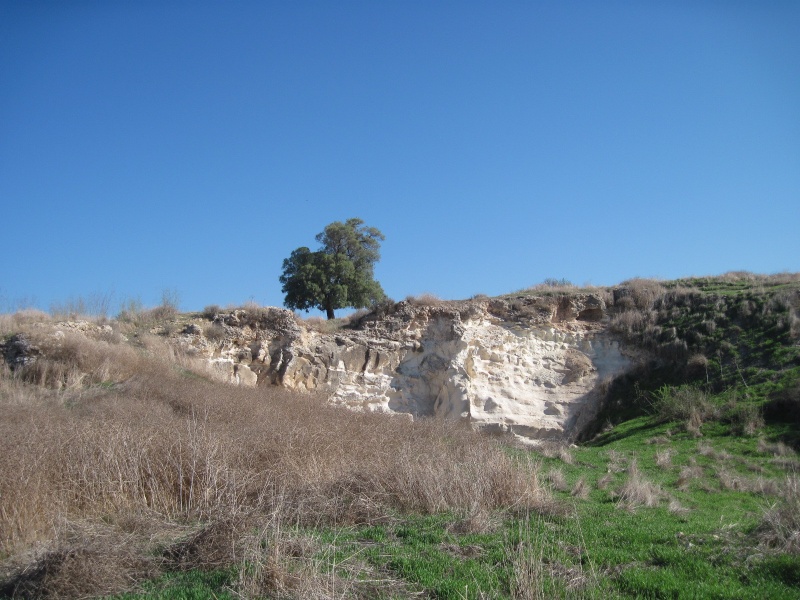 קובץ:גבעהאחוזם.JPG