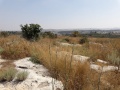 תמונה ממוזערת לגרסה מתאריך 10:30, 21 ביוני 2019