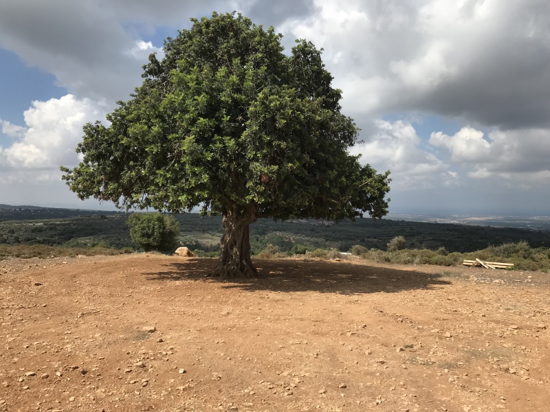 קובץ:גבעת בלטון.jpg