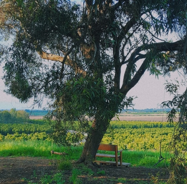 קובץ:גבעת האהבה-ניר ישראל.jpeg