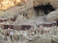 תמונה ממוזערת לגרסה מתאריך 09:26, 12 באוגוסט 2018