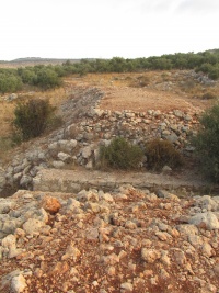 גשראנגליעפרים.JPG