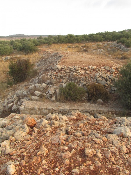 קובץ:גשראנגליעפרים.JPG