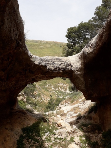 קובץ:גשרכביר.jpg