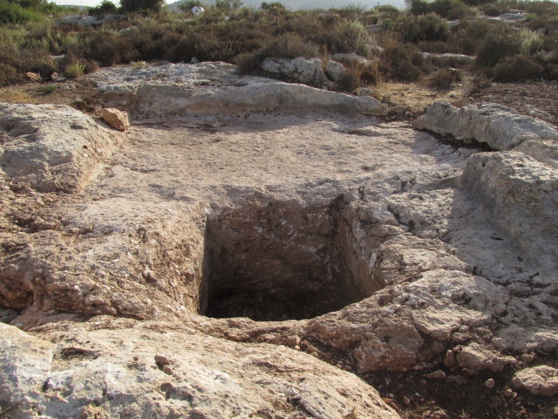 קובץ:גתבדיאב.JPG