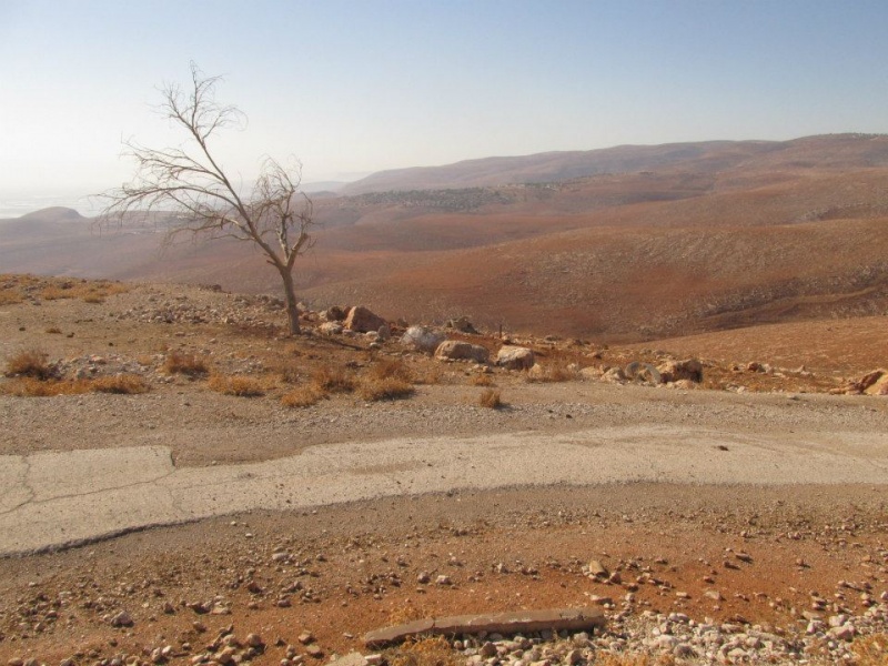 קובץ:גתיתתצפית.jpg