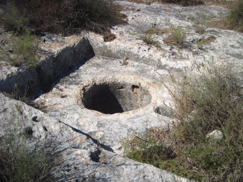 קובץ:גתקנובה.JPG