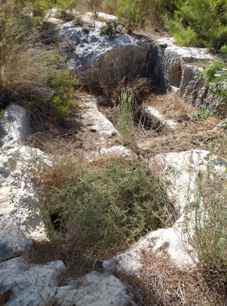 קובץ:גתשובבמשניות.jpg