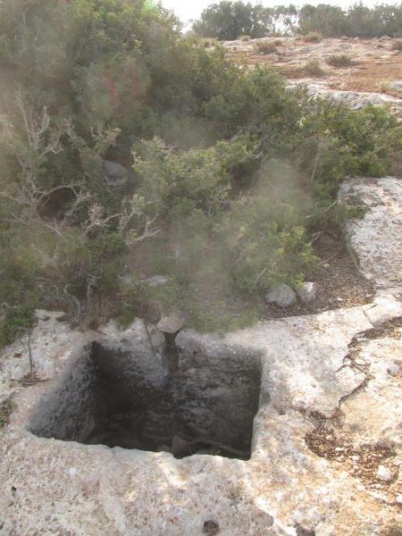 קובץ:גת431מערב.JPG