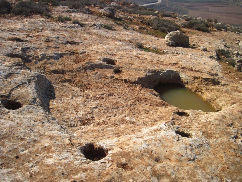 קובץ:גת7ספלולב.JPG