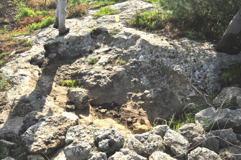 קובץ:גת סמוך לפרסין.JPG