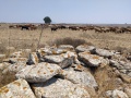 תמונה ממוזערת לגרסה מתאריך 17:00, 26 ביולי 2021