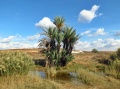 תמונה ממוזערת לגרסה מתאריך 09:03, 6 בנובמבר 2014