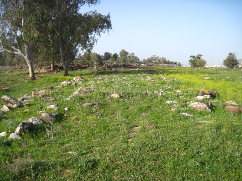 קובץ:דרךרומיתגולני.JPG