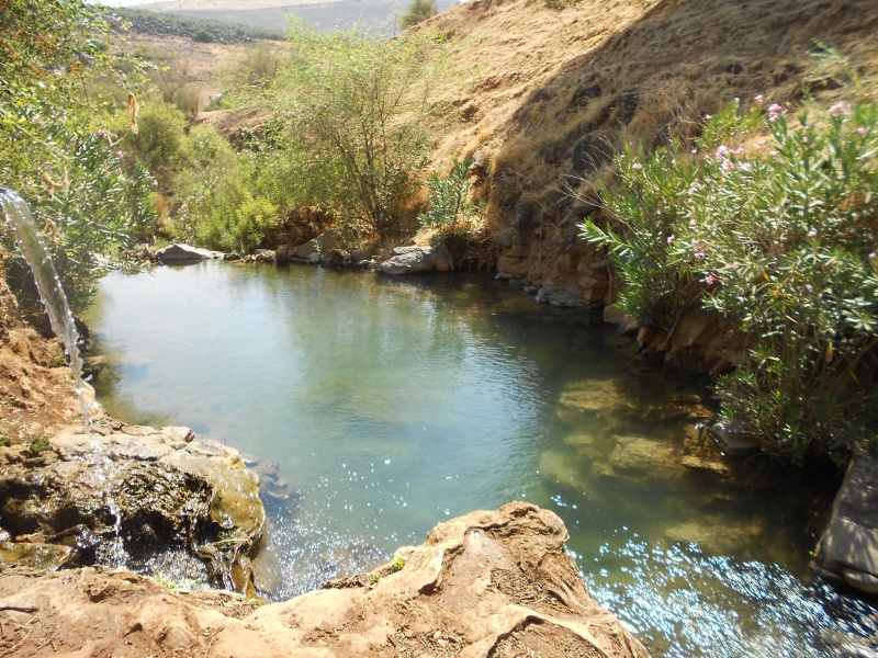 קובץ:הבריכה בנחל צלמון.JPG